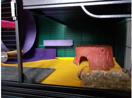 Aventura Cage Bottom Liner