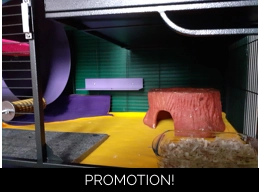 Aventura Cage Bottom Liner