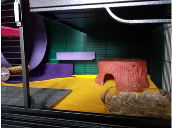 Aventura Cage Bottom Liner