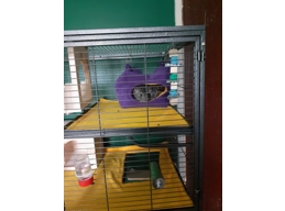 Aventura Cage Shelf Liner (1)