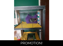 Aventura Cage Shelf Liner (2)