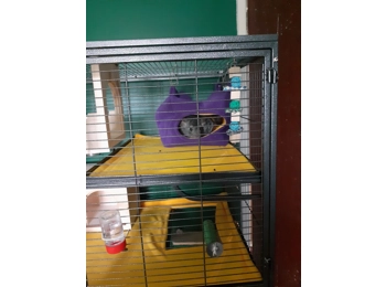 Aventura Cage Shelf Liner (2)