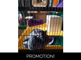 Aventura Cage Top Liner