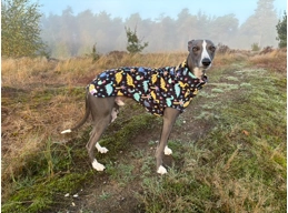 Sleeveless Fleece Jumper - Whippet