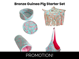 Guinea Pig Starter Set