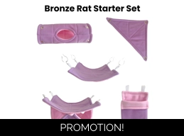 Rat Starter Set