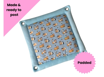 Padded Hammock - guinea pig 12" HAM-P12GP