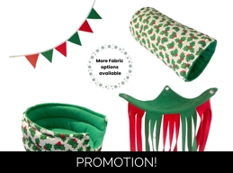 Guinea Pig Christmas Set