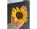 Sunflower Garland