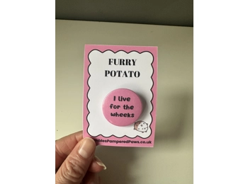 Guinea Pig Lover Badges