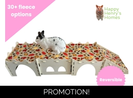 Rabbit Low Castle Pads