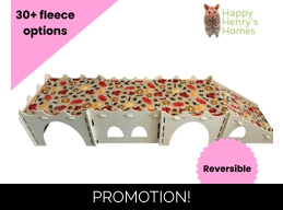 Rabbit Low Castle Pads