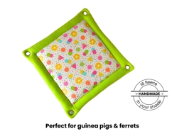 Summer Fun Padded Hammock 12