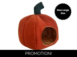 Autumn Pumpkin Bed - Large