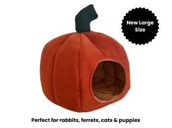 Autumn Pumpkin Bed - Large