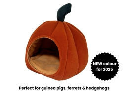 Autumn Pumpkin Bed