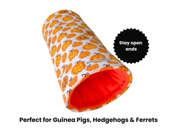 Pumpkin Cozy Tunnel