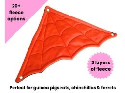 Corner Hammock - Spider..