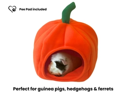 Pumpkin Bed