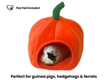Pumpkin Bed