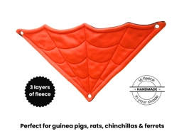 Spider Web  Corner Hammock