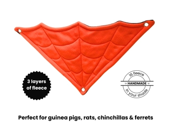 Spider Web  Corner Hammock