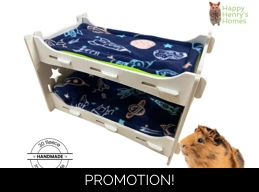 Guinea Pig Bunk Bed Pads - Pack of 2