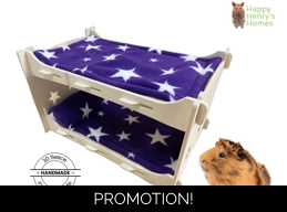 Guinea Pig Large Bunk Bed Pads - Pack of 2