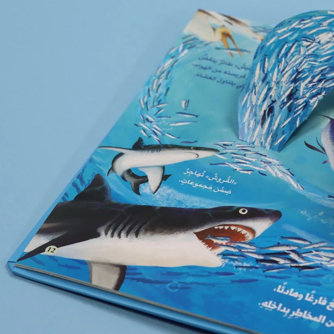Additional Image for مملكة الحيوان: المحيط