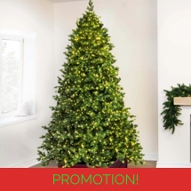 The 7ft Ultra-Lit Montagna F..