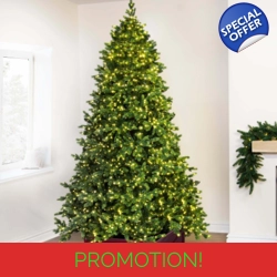 The 7ft Ultra-Lit Montagna Fir Tree