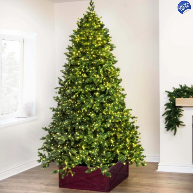 product Image for The 7ft Ultra-Lit Montagna Fir Tree