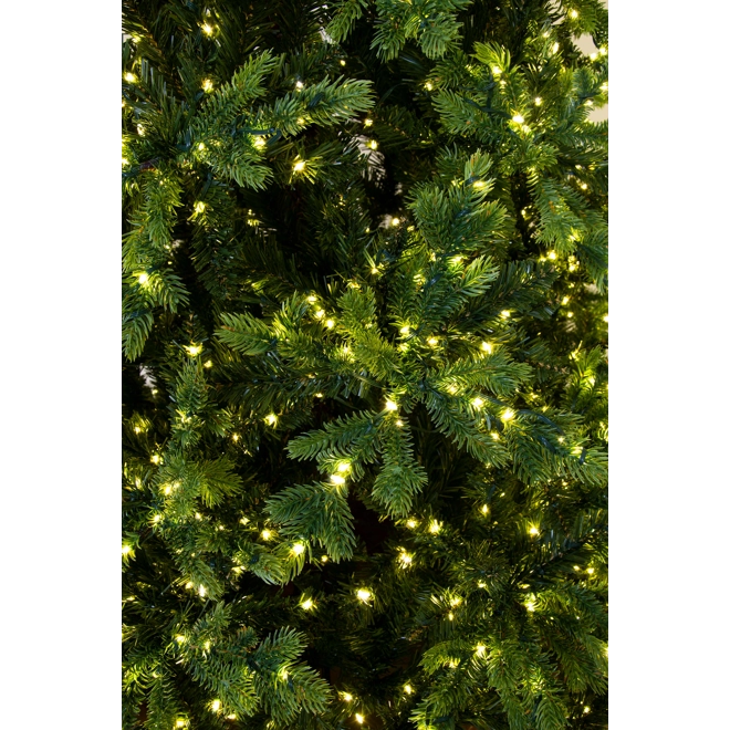Additional Image for The 7ft Ultra-Lit Montagna Fir Tree