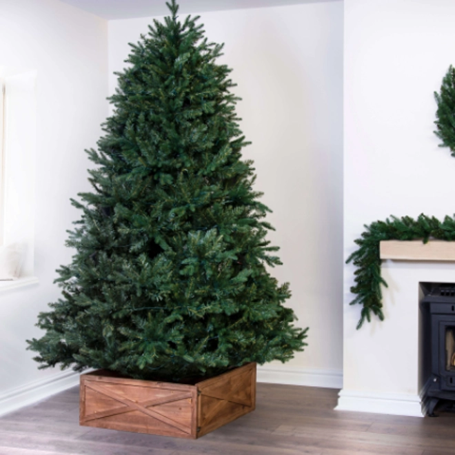 product Image for The Woodland Pine Tree (4ft to 16ft)