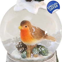 Robin & Mistletoe Snow ..