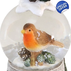 Robin & Mistletoe Snow Globe