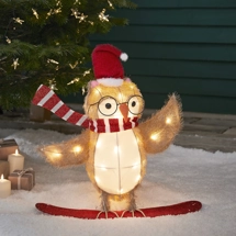 Snowboarding Owl Battery Chr..