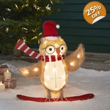 Snowboarding Owl Batter..