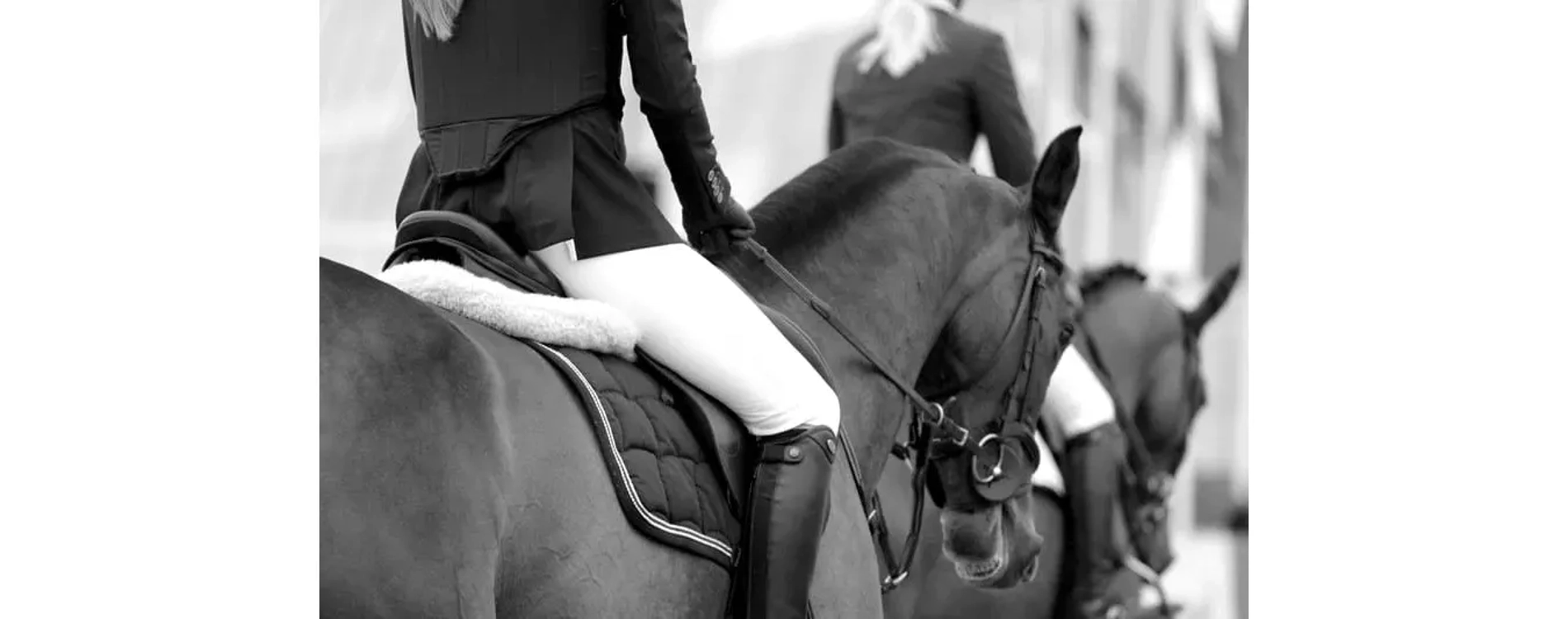 We are here for ALL of your equestrian needs! Always FREE U.S. shipping!