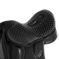 Ortho-Coccyx