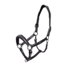 Dark Violet Anatomic Gl..