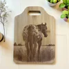 Appaloosa Bottom