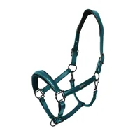 Teal Blue Anatomic Glimmer