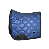 Polar Night Glimmer Dressage