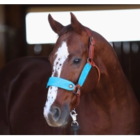 Luxe Turquoise Bronc Nose