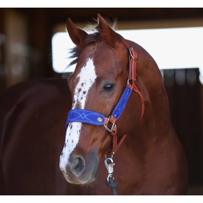 Luxe Royal Blue Bronc Nose