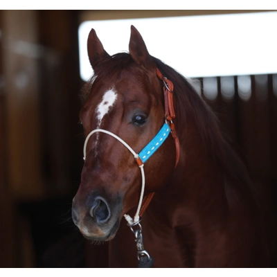 Luxe Turquoise Lariat