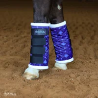Lexie 2.0