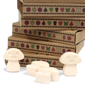 Box of 6 Wax Melts - Va..
