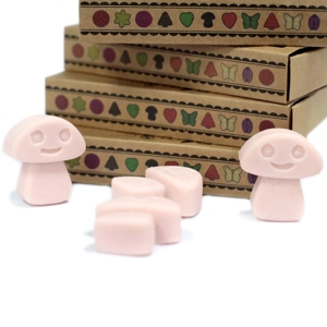 Box of 6 Wax Melts - Ol..